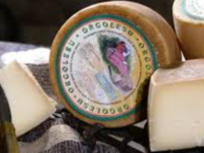 Escherichia Coli STEC nel formaggio dolce di pecora a latte crudo denominato “Pecorino Orgolesu”