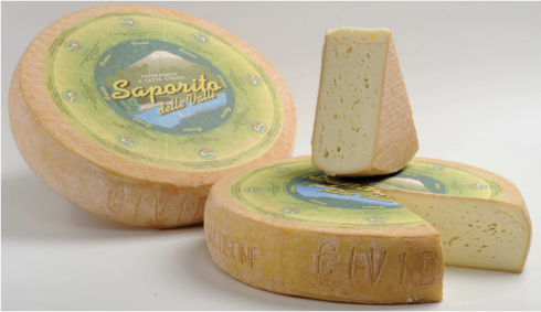 Rischio microbiologico, richiamato formaggio saporito per sospetto E. coli stec