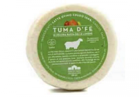 Rischio microbiologico, richiamato formaggio Tuma D’Fe