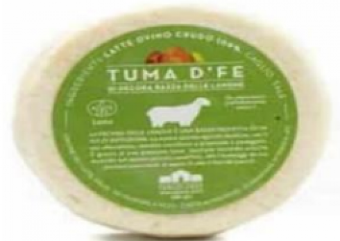 Presenza di salmonella, richiamato da mercato formaggio 'Tuma d'Fe'