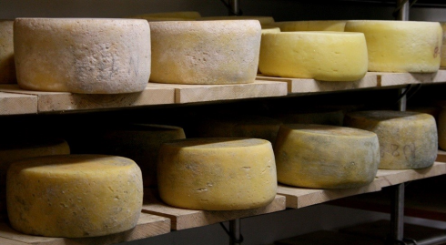 Escherichia Coli STEC nel formaggio a latte crudo La Magnocchetta – Valchiavenna a marchio Formaggi del Curto