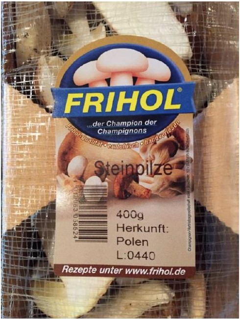 funghi funghi