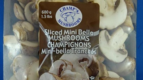 funghi
