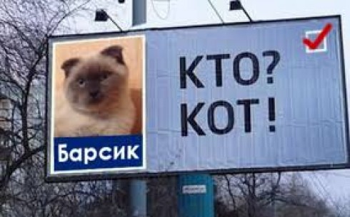 gatto Barsik gatto Barsik
