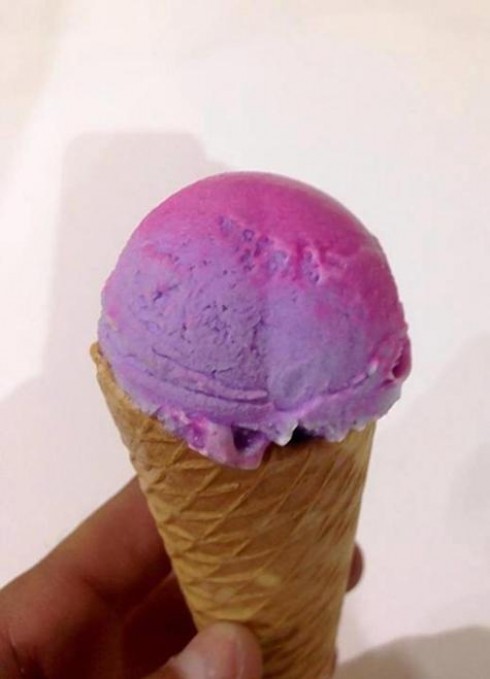 gelato camaleonte gelato camaleonte