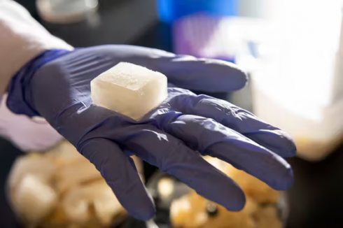 I ricercatori stanno sviluppando in laboratorio ghiaccio che non si scioglie