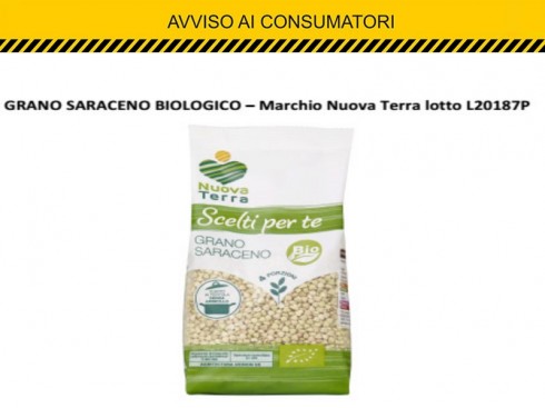 grano saraceno grano saraceno