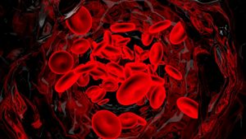 Nuovo gruppo sanguigno scoperto negli esseri umani