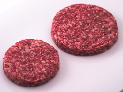 Salmonella spp nell’hamburger di cinghiale