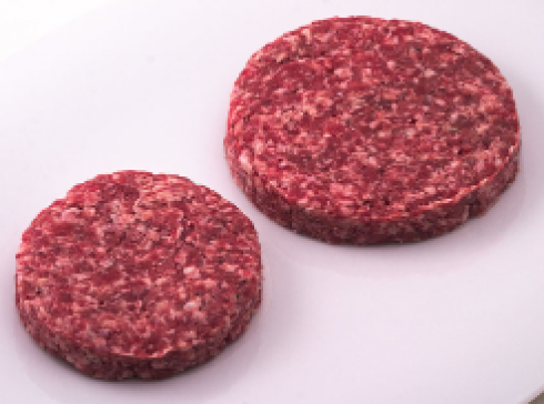 Salmonella spp nell’hamburger di cinghiale