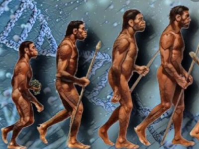 Homo sapiens ha 36'000 anni in più