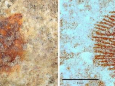 Scoperta l'impronta digitale umana più antica conosciuta