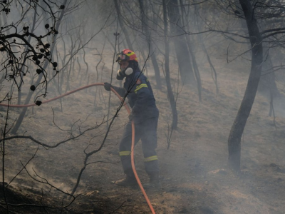 Incendio a Evros: Migranti trovati carbonizzati nella foresta di Dadia. Almeno 18 morti