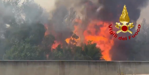 VIDEO. Paura nella marina di San Cataldo: incendio brucia la pineta e la macchia mediterranea, fiamme su abitazioni e auto