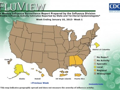 mappa influenza stati uniti