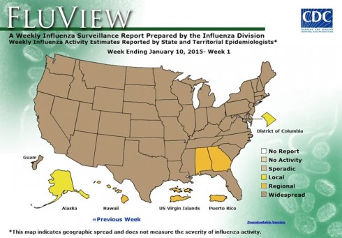 mappa influenza stati uniti