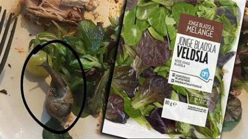 Lumaca nell'insalata pre-lavata in busta