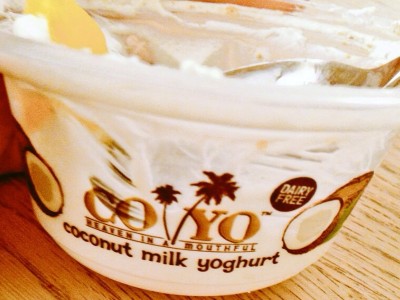 yogurt vegano