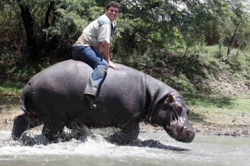 Sud Africa, agricoltore smembrato a 41 anni dal suo “ippopotamo domestico” che era "come un figlio" per lui - VIDEO