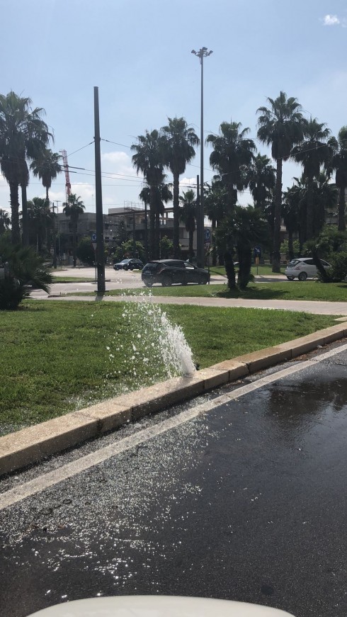 Sprechi a Lecce. L’irrigatore si rompe, l’acqua zampilla a litri in pieno centro e i vigili non rispondono.