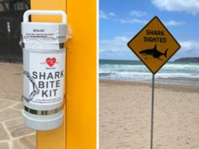 Kit anti-morso installati lungo le spiagge settentrionali di Sydney dopo gli attacchi degli squali