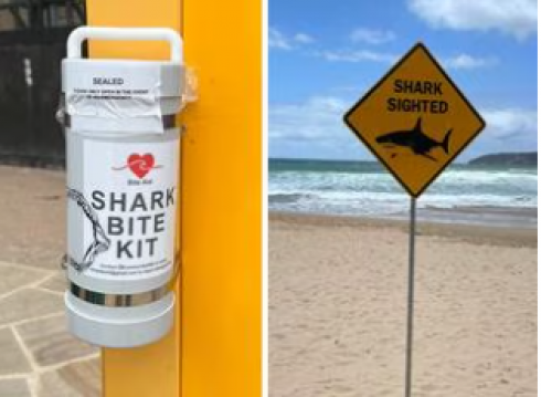 Kit anti-morso installati lungo le spiagge settentrionali di Sydney dopo gli attacchi degli squali
