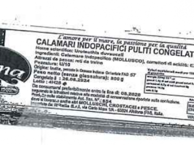 Cadmio oltre i limiti, richiamati dalla vendita calamari puliti congelati