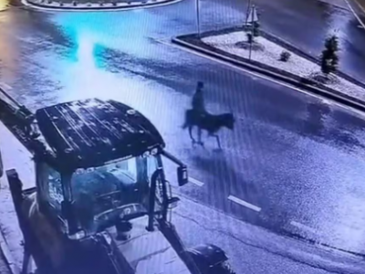 Ladro entra in gioielleria con carrello elevatore ma fugge a dorso di un asino! Le telecamere hanno ripreso tutto...