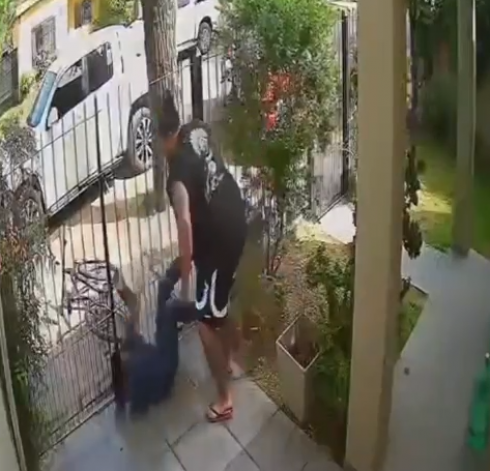Ladro di biciclette, colto sul fatto, bloccato dal proprietario che è campione di arti marziali - Il video