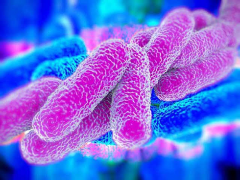 Allarme Legionella a Creta, turista in coma