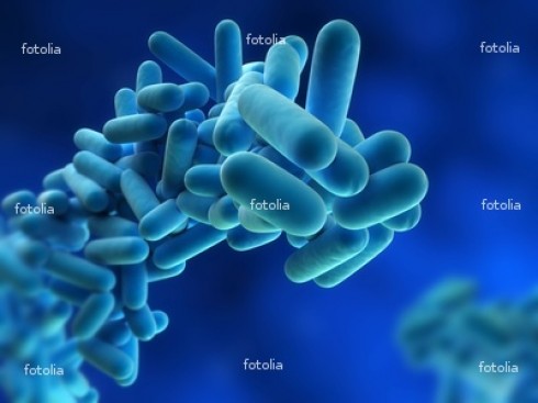 legionella