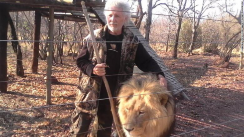 Sudafrica: uomo ucciso dai suoi stessi leoni in una riserva di caccia