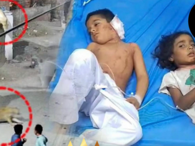Terrore in Pakistan, leone domestico scappa in strada e attacca mamma e figli – Il video