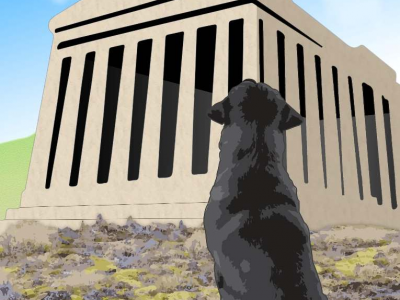 The Dog on the Acropolis