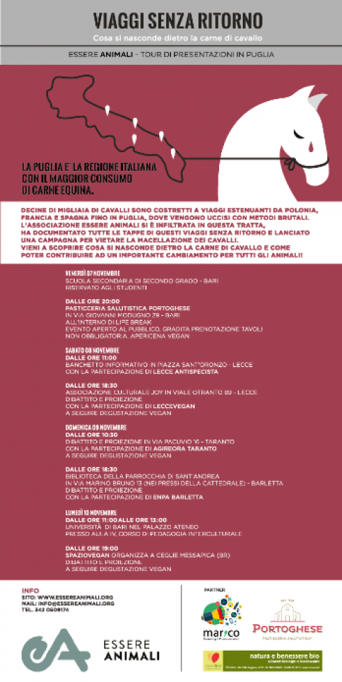 locandina locandina