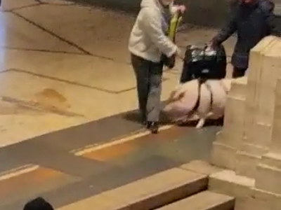 Alla stazione centrale di Milano come compagno di viaggio un maiale al guinzaglio