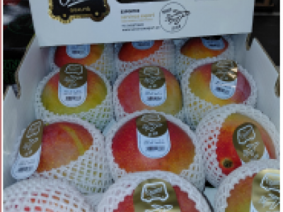 Residui di pesticidi nel Mango variet&agrave; Kent dei F.lli Orsero