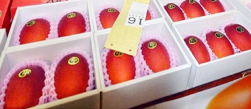 mango mango