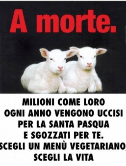 agnelli agnelli