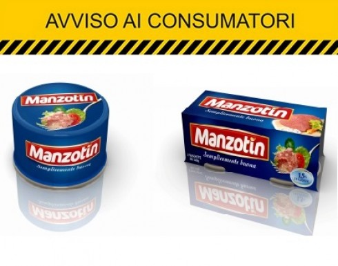 carne manzotin carne manzotin
