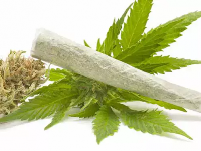 Marijuana pericolosa per il cervello degli adolescenti