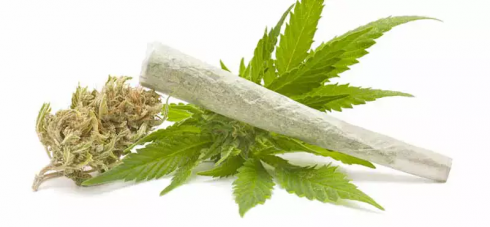 Marijuana pericolosa per il cervello degli adolescenti