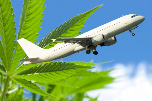 La TSA inizia a consentire ai passeggeri di portare marijuana sugli aerei: ecco chi può