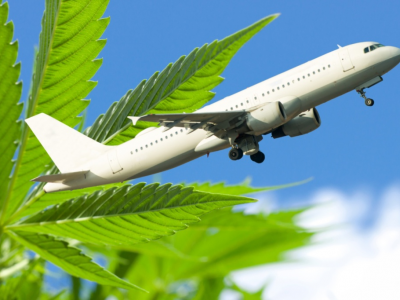 La TSA inizia a consentire ai passeggeri di portare marijuana sugli aerei: ecco chi pu&ograve;