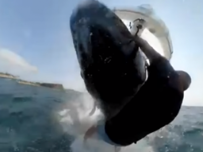 Incredibile filmato del momento in cui il windsurfer di Sydney si schianta contro una balena