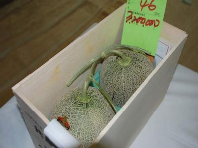 Giappone: asta record per una coppia di meloni. Valgono 25mila euro! 