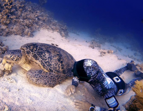 Incredibile esperienza nel mare del Salento. Santa Maria Di Leuca, faccia a faccia con la tartaruga gigante - VIDEO 