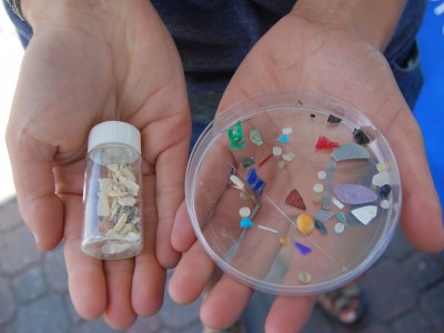 Microplastiche, rilevate negli esseri umani