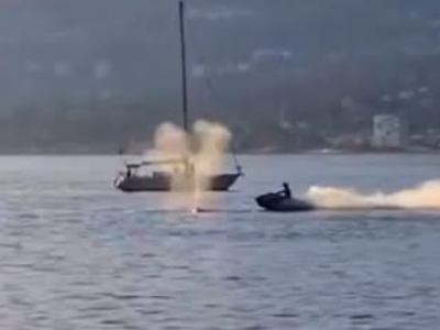 Incidente al largo delle coste del Canada: moto d'acqua si scontra con una balena e pilota viene sbalzato via &ndash; Il video