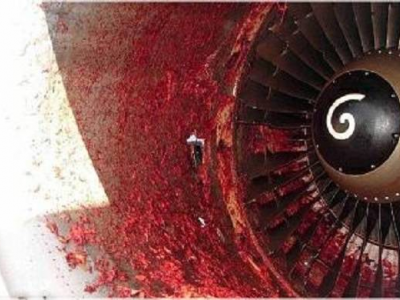 Incidente choc, muore risucchiato dal motore di un jet in rullaggio della compagnia aerea low cost spagnola Volotea